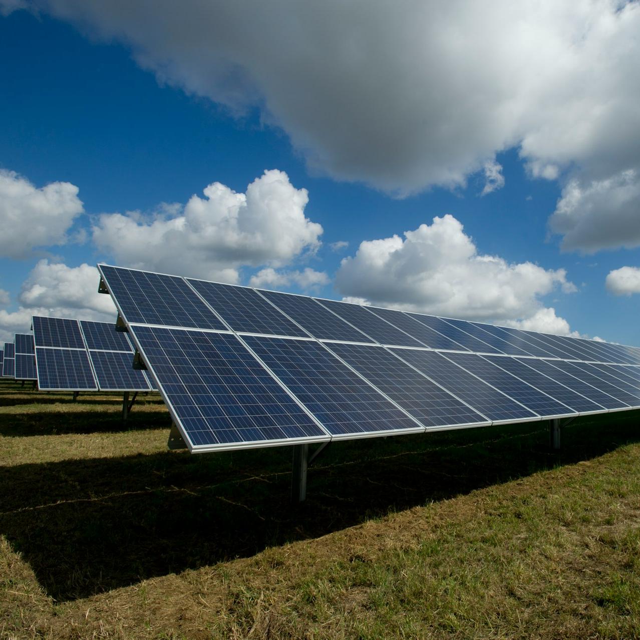 solar panels on green field